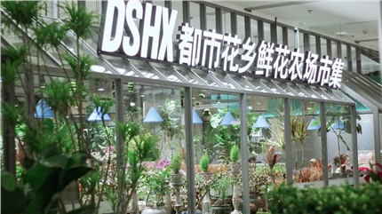 【都市花鄉(xiāng)】植耕長(zhǎng)沙22年，讓人們的生活更加美好